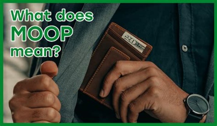 What is the meaning of moop?