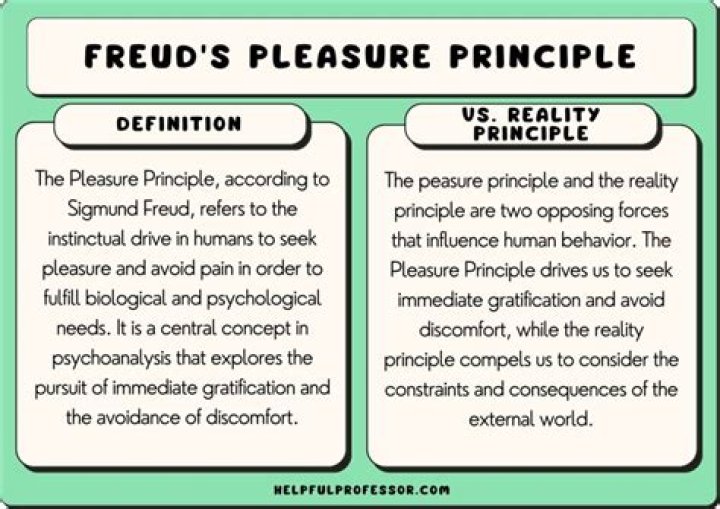 What is the meaning of pleasure-seeking?