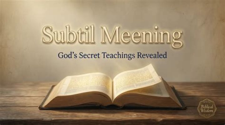 What is the meaning of the word subtil?