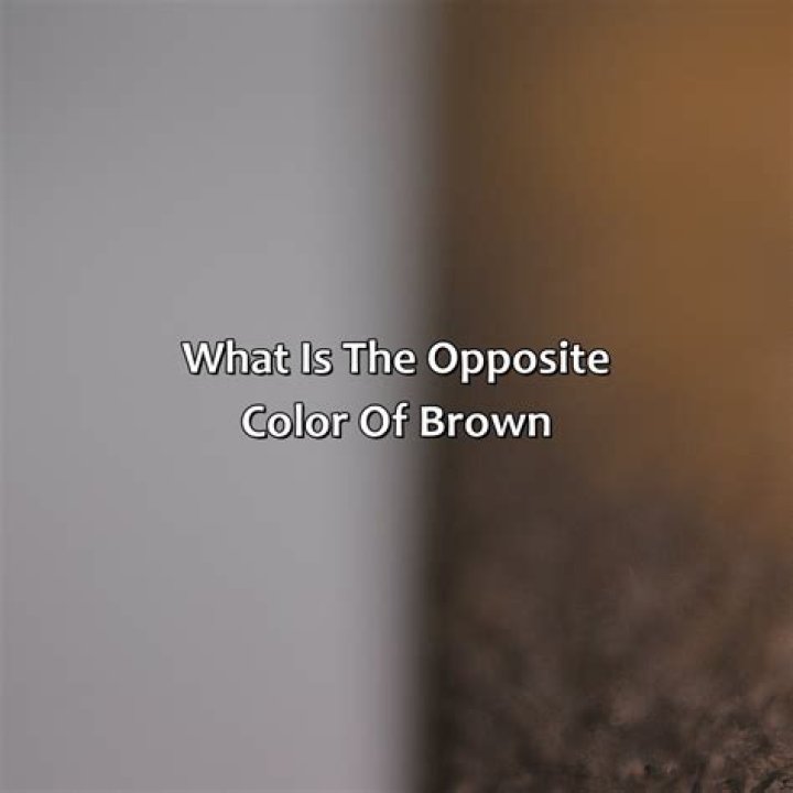 What is the opposite of bifurcation?