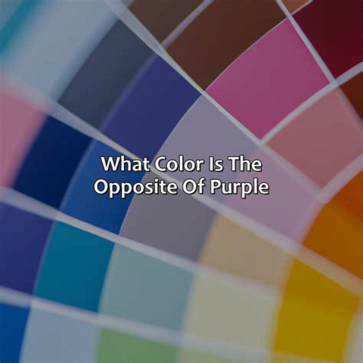 What is the opposite of mediate?