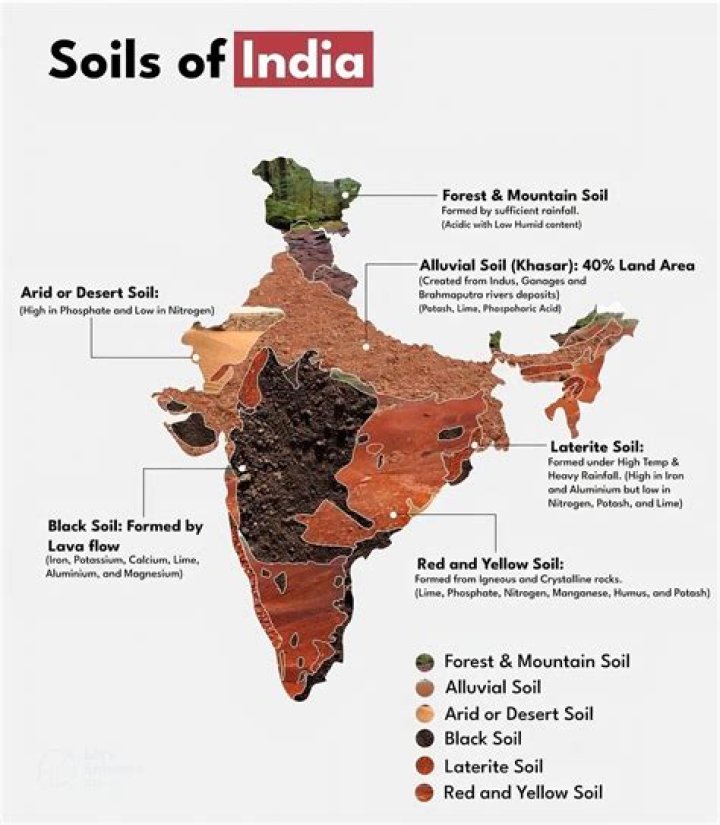 What is the percentage of laterite soil in india?