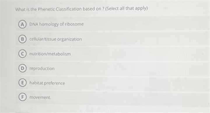What is the phenetic classification based on?
