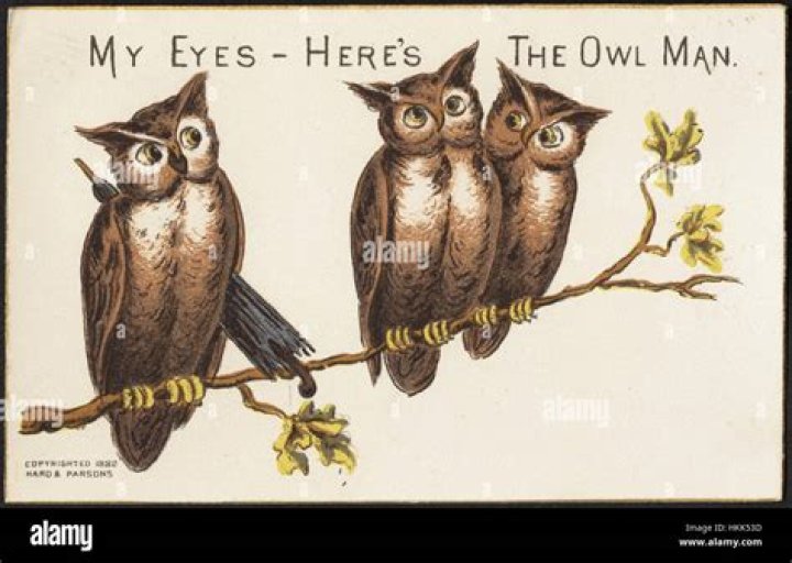 What is the significance of the owl eyed man?