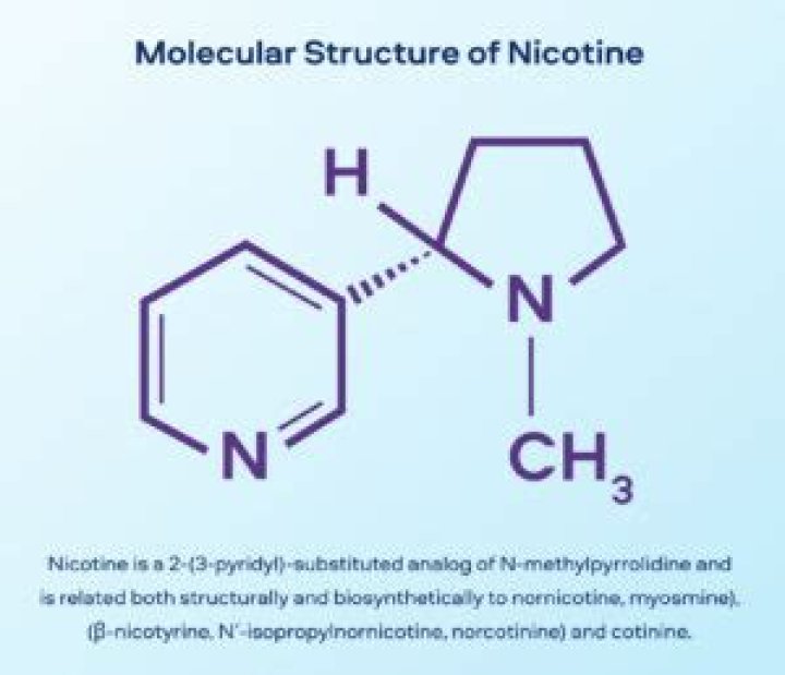 What is the structure of nornicotine?