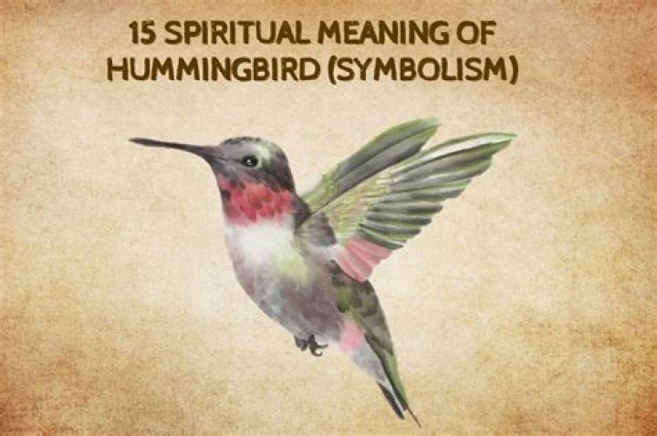 What is the symbolic meaning of a hummingbird?