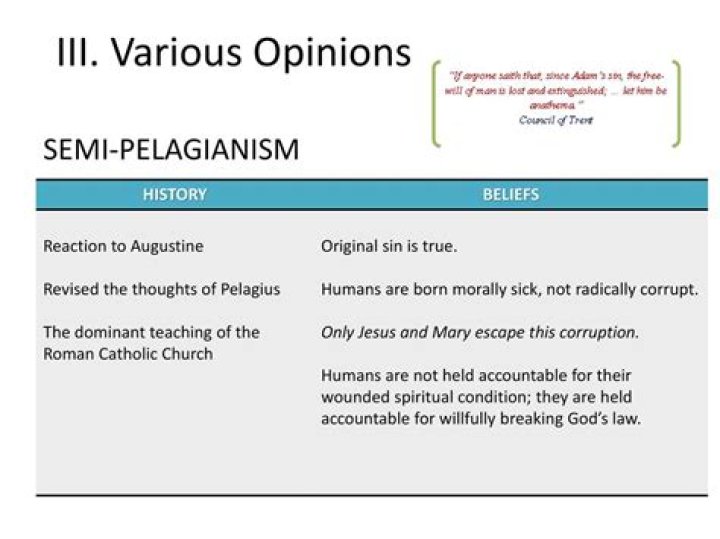 What is the teaching of pelagianism?