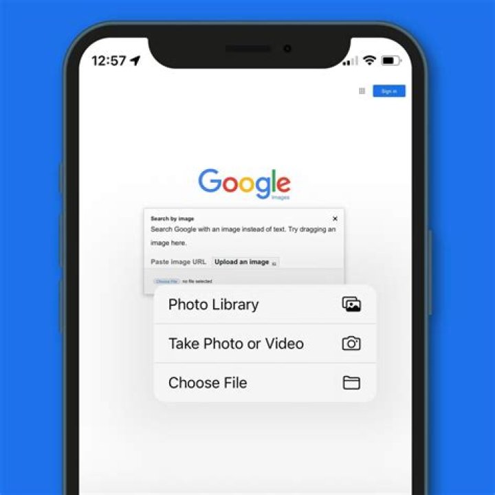 What is this image search?