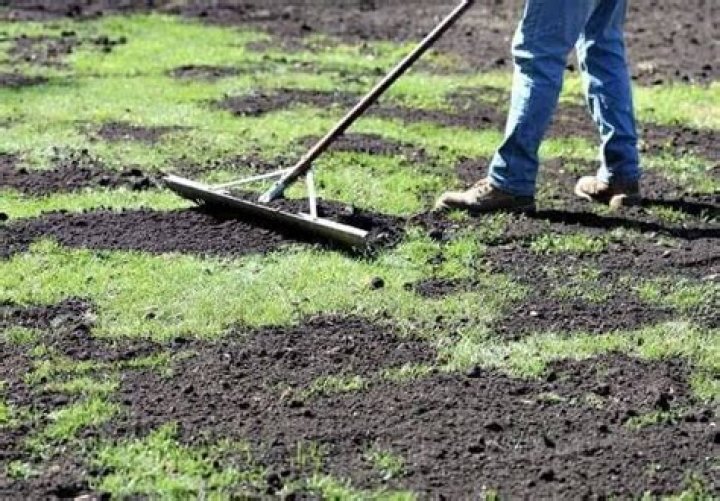 What is top dressing in agriculture?