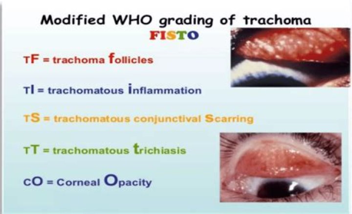 What is trachomatous scarring?