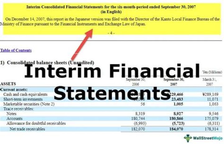 What is unaudited financial statements?