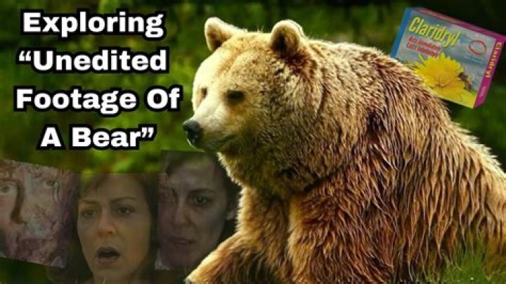 What is unedited footage of a bear?