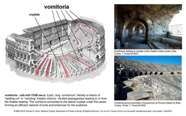 What is vomitoria used for?