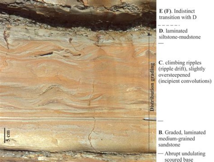 What is wackestone in geology?