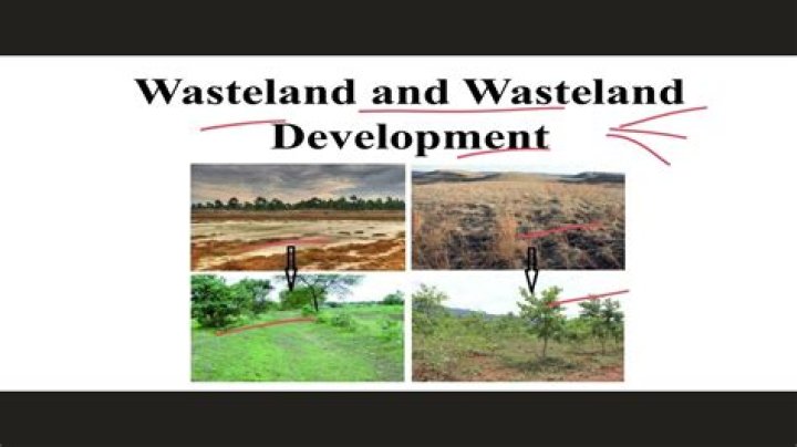 What is wasteland in geography?