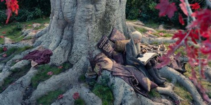 What kind of tree is a weirwood?