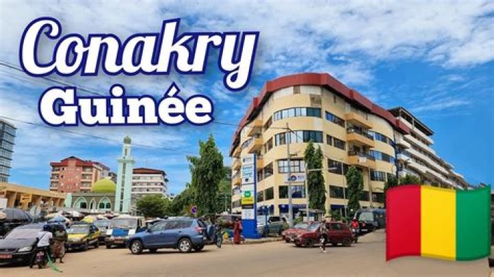 What language is conakry in?
