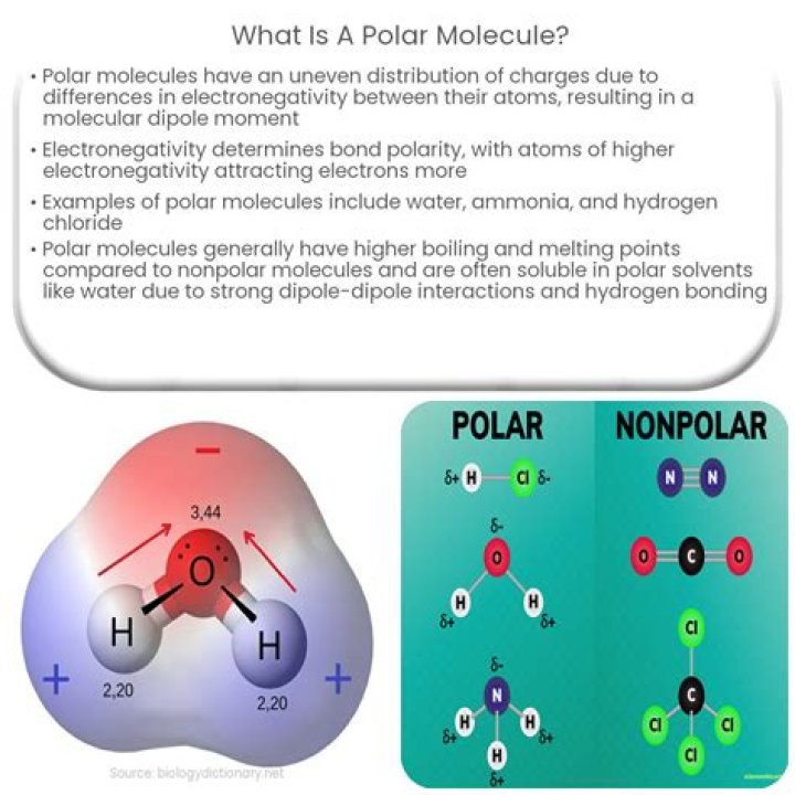 What makes a molecule more polarizable?