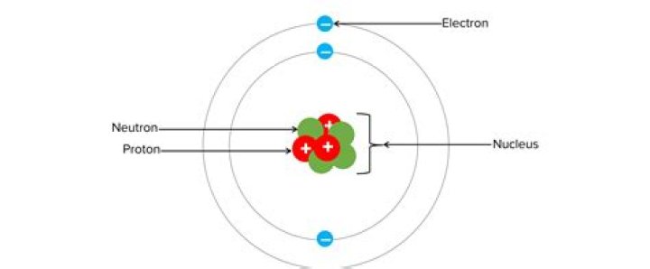What makes up syconium?
