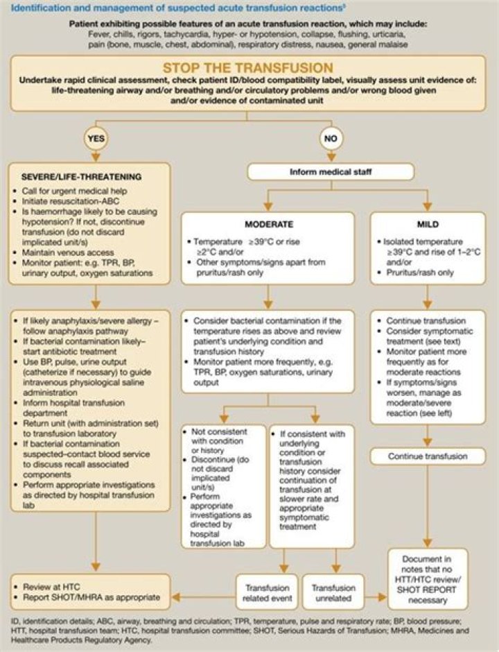 What manifestations are consistent with an allergic transfusion reaction?