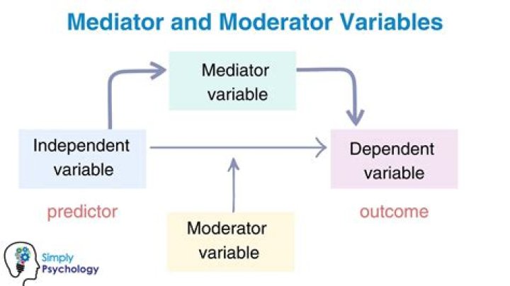 What moderator stands for?