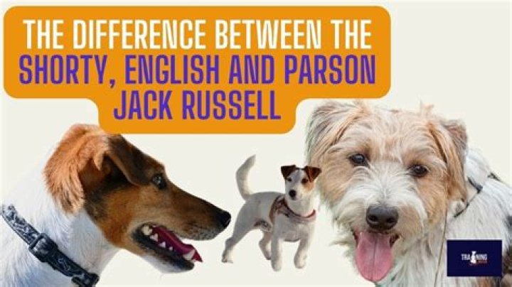 What parson in english?