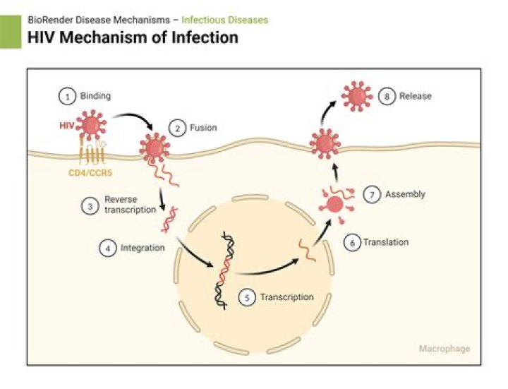 What pathogen causes hiv?