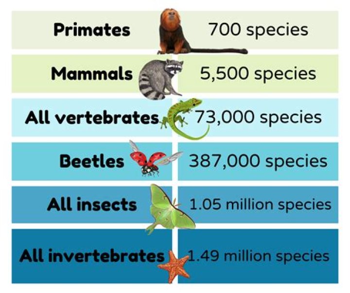 What percentage of animals fossilized?