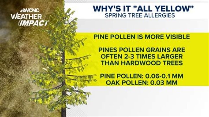 What pollen starts mid june?