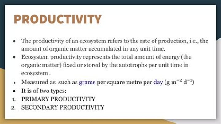 What productivity of an ecosystem?
