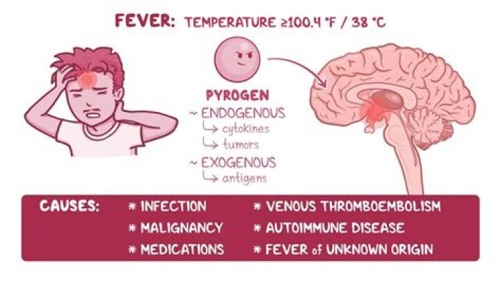 What range is a fever?