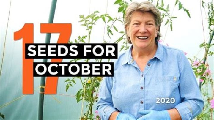 What seeds to sow in october?