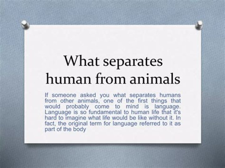 What separates humans from animals philosophy?