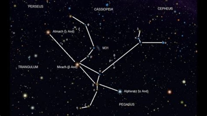 What stars make up delphinus?