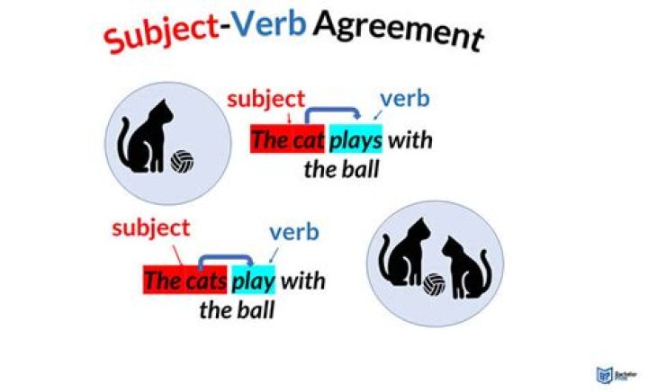 What + subject + verb?