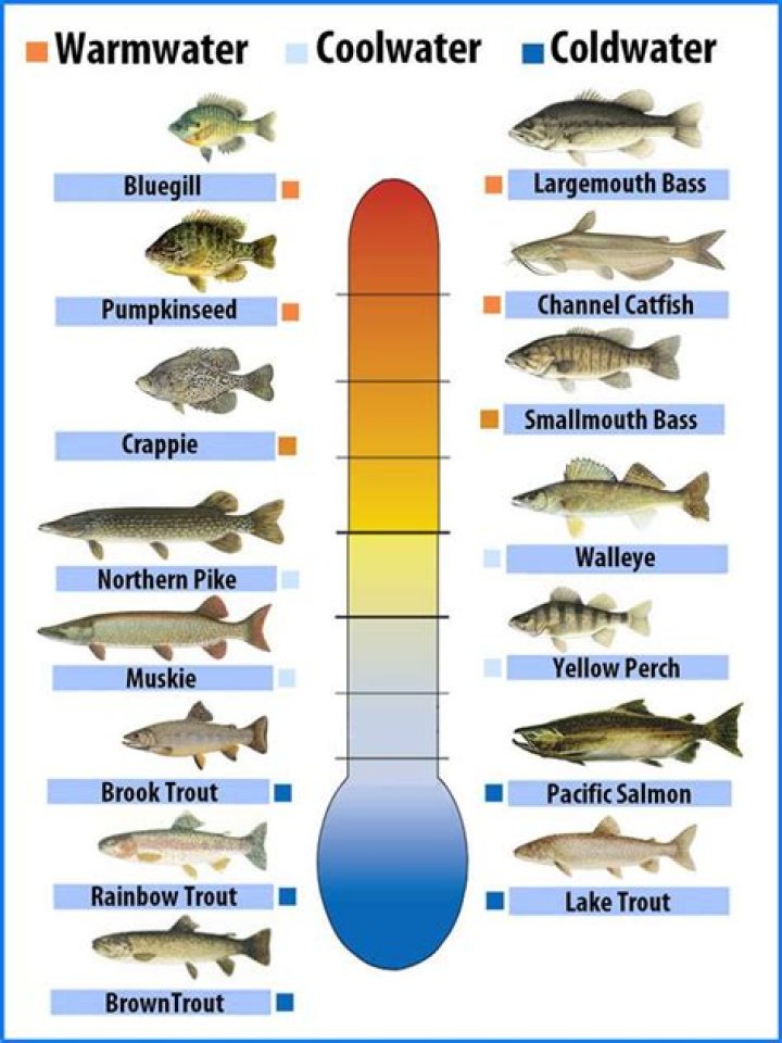 What temperature do crappies spawn in wisconsin?