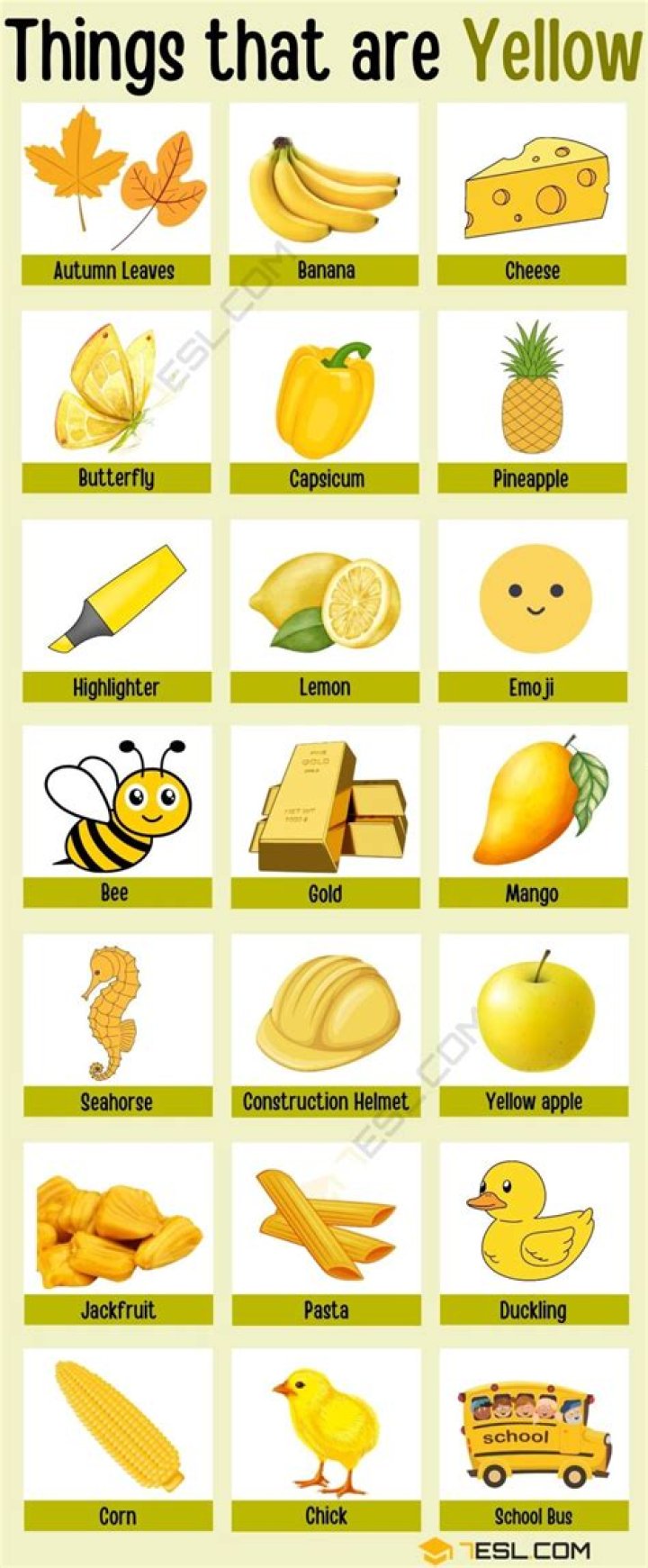 What things are yellow?