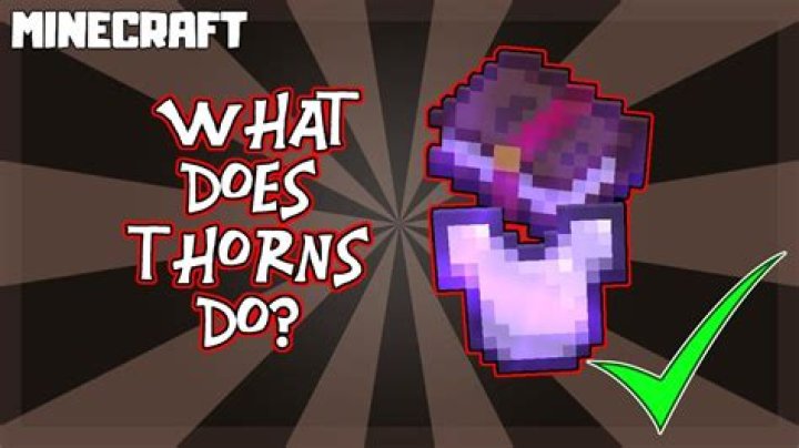What thorns do in minecraft?