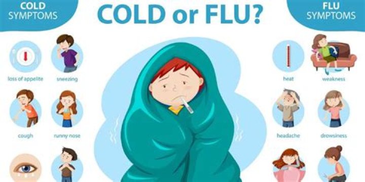What to do when catching a cold?