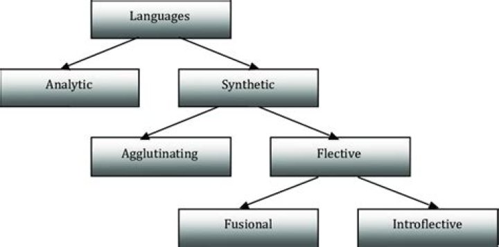 What typology of language?