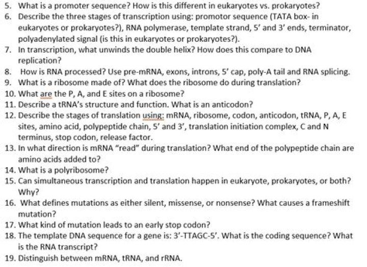 What unwinds the double helix?
