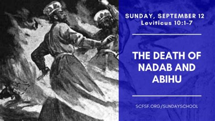 What was the sin of nadab and abihu?