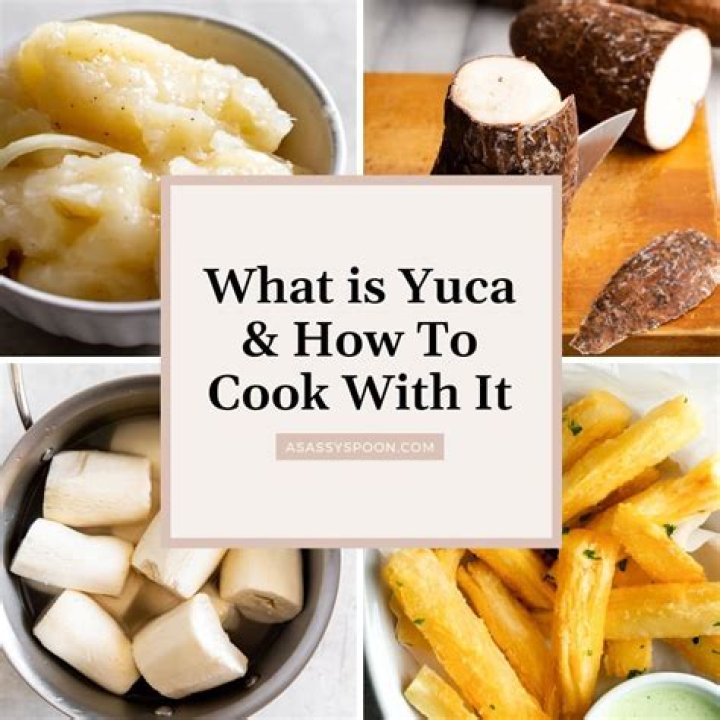 What yucca is good for?