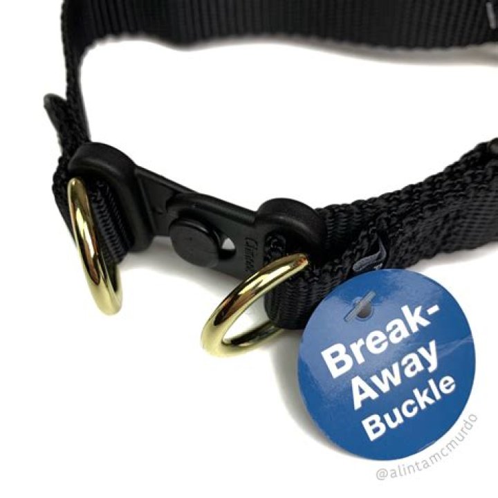 What's a breakaway collar?