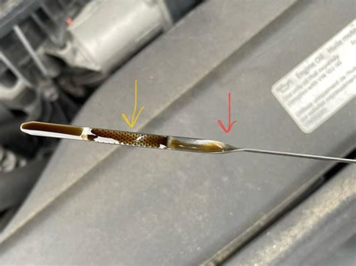Whats a dipstick slang?