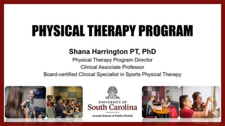 Whats a dpt program?