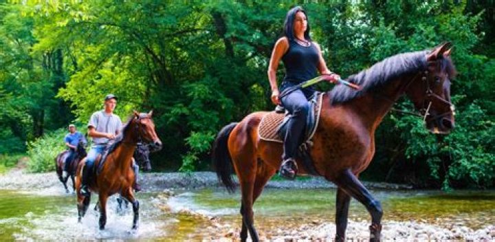 Whats a horseback rider?