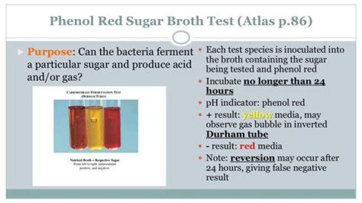 Whats a phenol red?