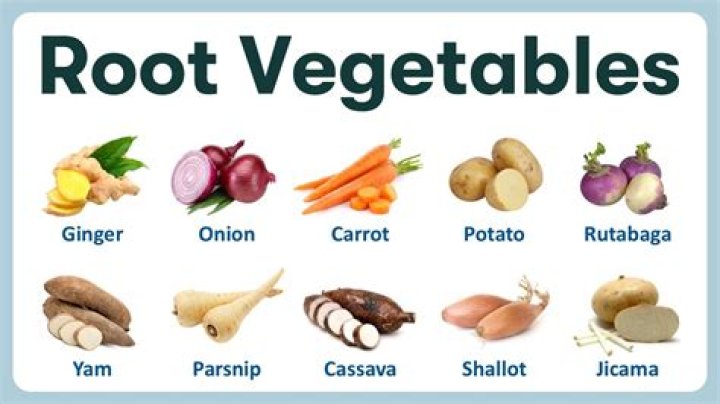 Whats a root vegetable?