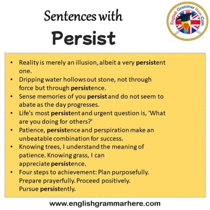 Whats a sentence for persist?